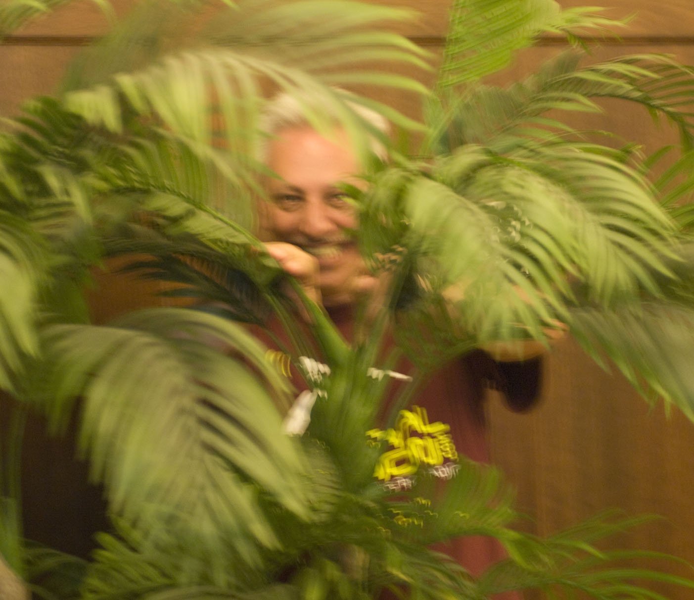 Name:  jungle-beast.jpg
Views: 183
Size:  204.3 KB