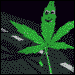 Name:  walking.gif
Views: 387
Size:  7.0 KB