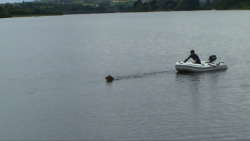 Name:  Dog_pulling_boat.jpg
Views: 74
Size:  4.5 KB